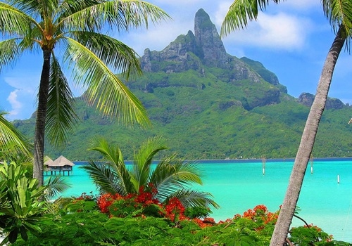 Tussen de palmbomenuitzicht -Favoriete_cruisebestemming__Frans-Polynesie-24