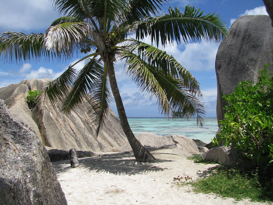 seychelles-la-digue-strand-zee-palmboom