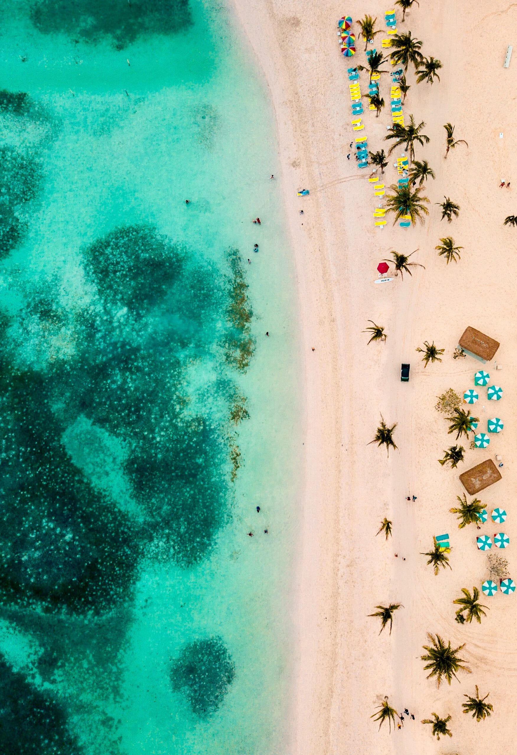 bahamas-cococay-coconut-landschap-uitzicht-strand-natuur-zee-strand
